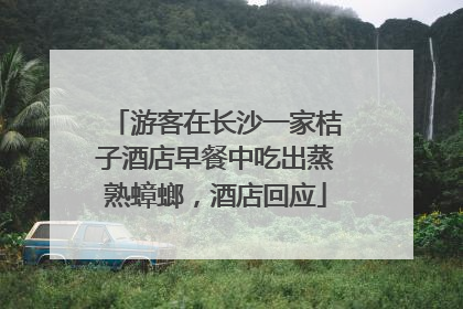 游客在长沙一家桔子酒店早餐中吃出蒸熟蟑螂，酒店回应