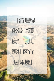 清理绿化带“顽疾”，共筑社区宜居环境