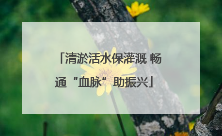 清淤活水保灌溉 畅通“血脉”助振兴