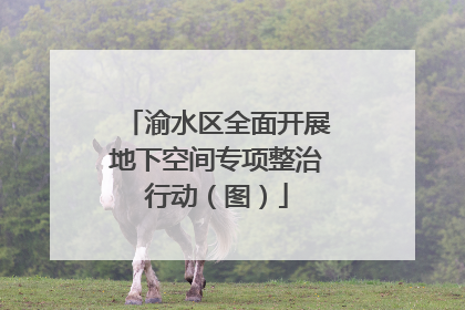 渝水区全面开展地下空间专项整治行动（图）