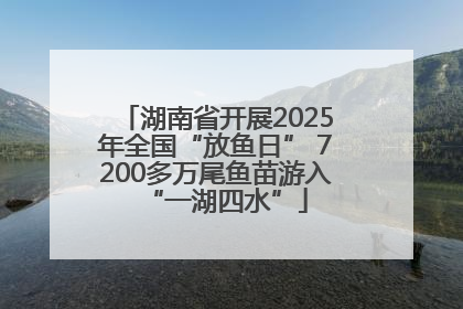 湖南省开展2025年全国“放鱼日” 7200多万尾鱼苗游入“一湖四水”