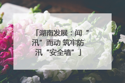 湖南发展：闻“汛”而动 筑牢防汛“安全墙”