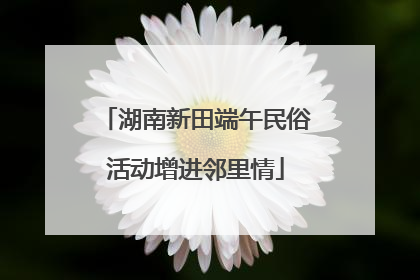 湖南新田端午民俗活动增进邻里情