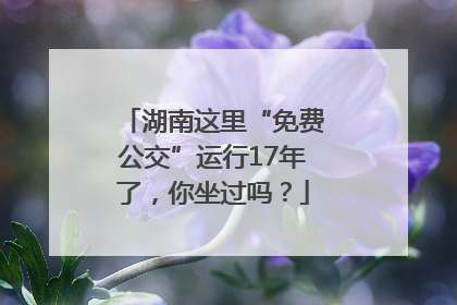 湖南这里“免费公交”运行17年了，你坐过吗？