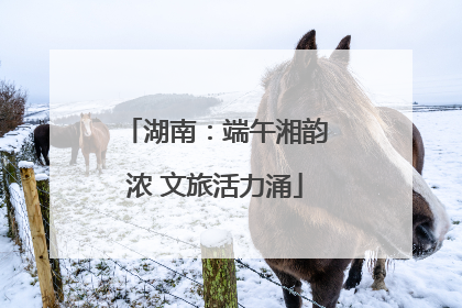 湖南：端午湘韵浓 文旅活力涌