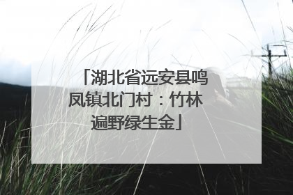 湖北省远安县鸣凤镇北门村：竹林遍野绿生金