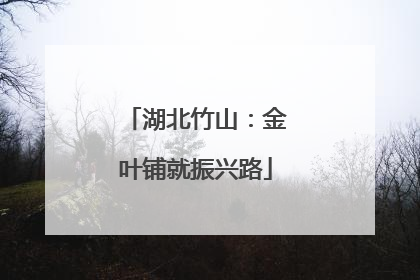 湖北竹山：金叶铺就振兴路
