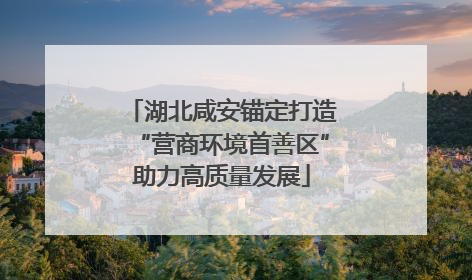 湖北咸安锚定打造“营商环境首善区”助力高质量发展