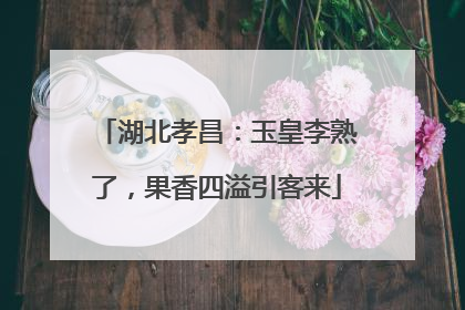 湖北孝昌：玉皇李熟了，果香四溢引客来