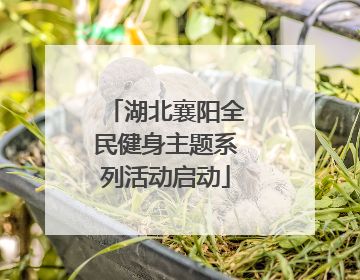 湖北襄阳全民健身主题系列活动启动
