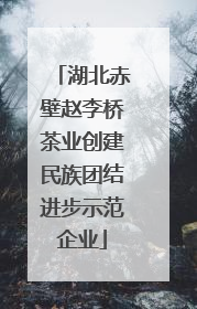 湖北赤壁赵李桥茶业创建民族团结进步示范企业