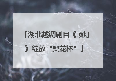 湖北越调剧目《顶灯》绽放“梨花杯”