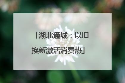 湖北通城：以旧换新激活消费热