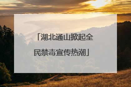 湖北通山掀起全民禁毒宣传热潮