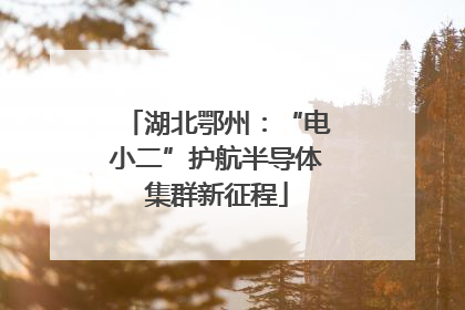 湖北鄂州：“电小二”护航半导体集群新征程