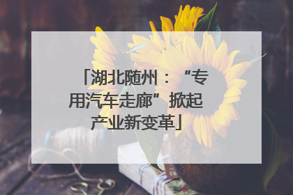 湖北随州：“专用汽车走廊”掀起产业新变革