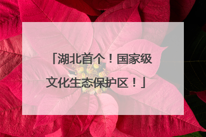 湖北首个！国家级文化生态保护区！