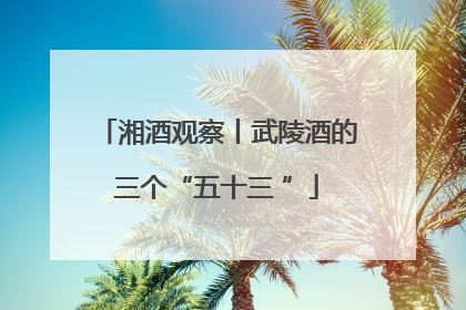 湘酒观察丨武陵酒的三个“五十三 ”