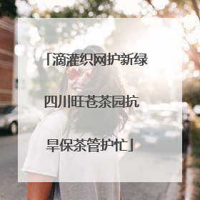 滴灌织网护新绿 四川旺苍茶园抗旱保茶管护忙