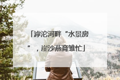 滹沱河畔“水景房”，崖沙燕育雏忙