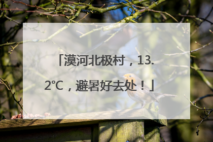 漠河北极村，13.2℃，避暑好去处！