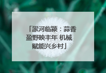 漯河临颍：蒜香盈野映丰年 机械赋能兴乡村