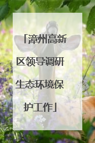 漳州高新区领导调研生态环境保护工作