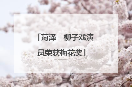 菏泽一柳子戏演员荣获梅花奖