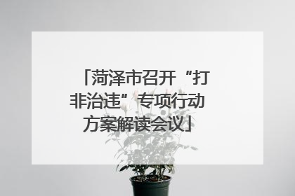 菏泽市召开“打非治违”专项行动方案解读会议