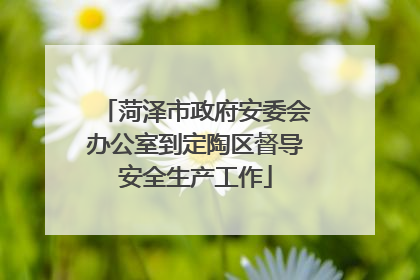 菏泽市政府安委会办公室到定陶区督导安全生产工作