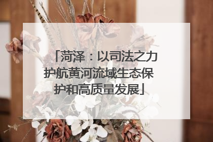 菏泽：以司法之力护航黄河流域生态保护和高质量发展