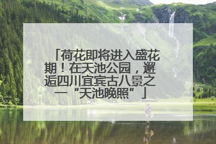 荷花即将进入盛花期！在天池公园，邂逅四川宜宾古八景之一“天池晚照”