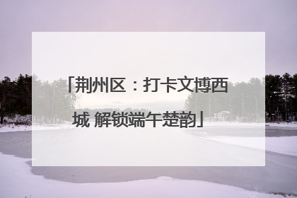 荆州区：打卡文博西城 解锁端午楚韵