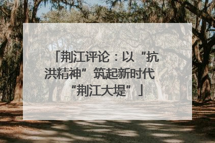 荆江评论：以“抗洪精神”筑起新时代“荆江大堤”