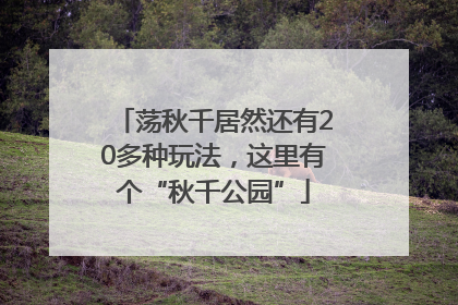 荡秋千居然还有20多种玩法，这里有个“秋千公园”