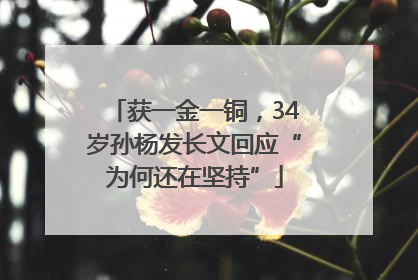 获一金一铜，34岁孙杨发长文回应“为何还在坚持”