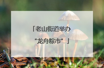 老山街道举办“龙舟粽市”
