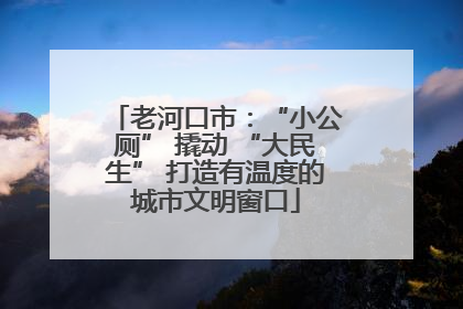 老河口市：“小公厕” 撬动 “大民生” 打造有温度的城市文明窗口