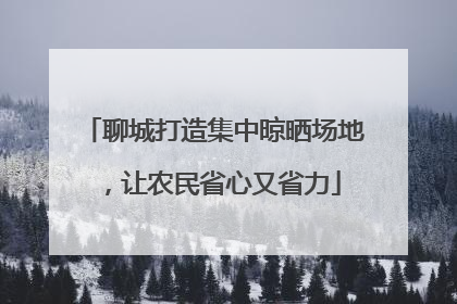聊城打造集中晾晒场地，让农民省心又省力