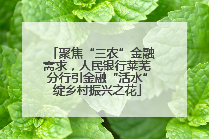 聚焦“三农”金融需求，人民银行莱芜分行引金融“活水”绽乡村振兴之花