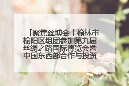 聚焦丝博会丨榆林市榆阳区组团参加第九届丝绸之路国际博览会暨中国东西部合作与投资贸易洽谈会