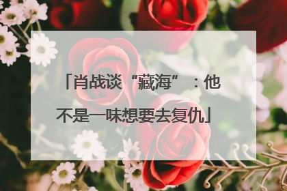 肖战谈“藏海”：他不是一味想要去复仇