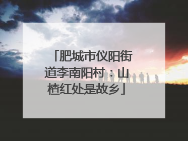 肥城市仪阳街道李南阳村：山楂红处是故乡