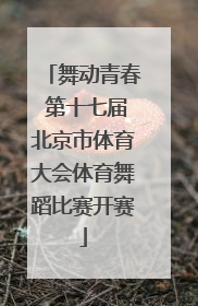 舞动青春 第十七届北京市体育大会体育舞蹈比赛开赛
