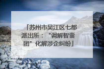 苏州市吴江区七都派出所：“调解智囊团”化解涉企纠纷