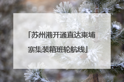 苏州港开通直达柬埔寨集装箱班轮航线
