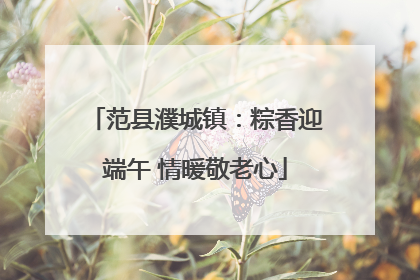 范县濮城镇：粽香迎端午 情暖敬老心