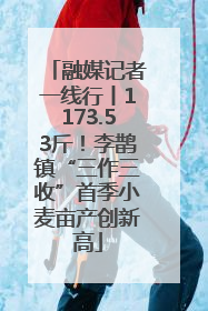 融媒记者一线行丨1173.53斤！李鹊镇“三作三收”首季小麦亩产创新高