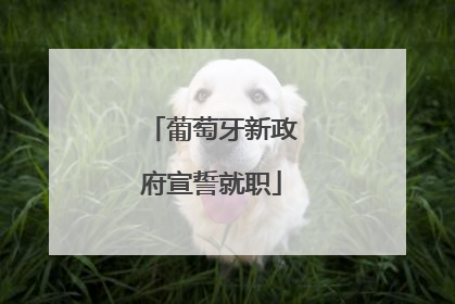 葡萄牙新政府宣誓就职