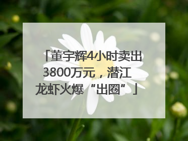 董宇辉4小时卖出3800万元，潜江龙虾火爆“出圈”
